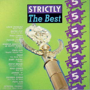 The cover of Strictly the Best Vol.5
        (a compilation album)