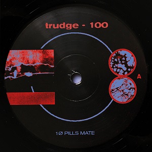 The cover of 100 by Trudge